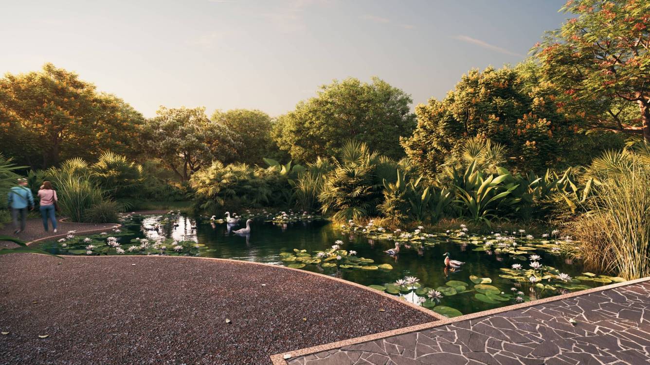  roseate roots Others