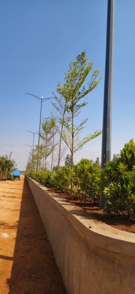  terra-capital Others