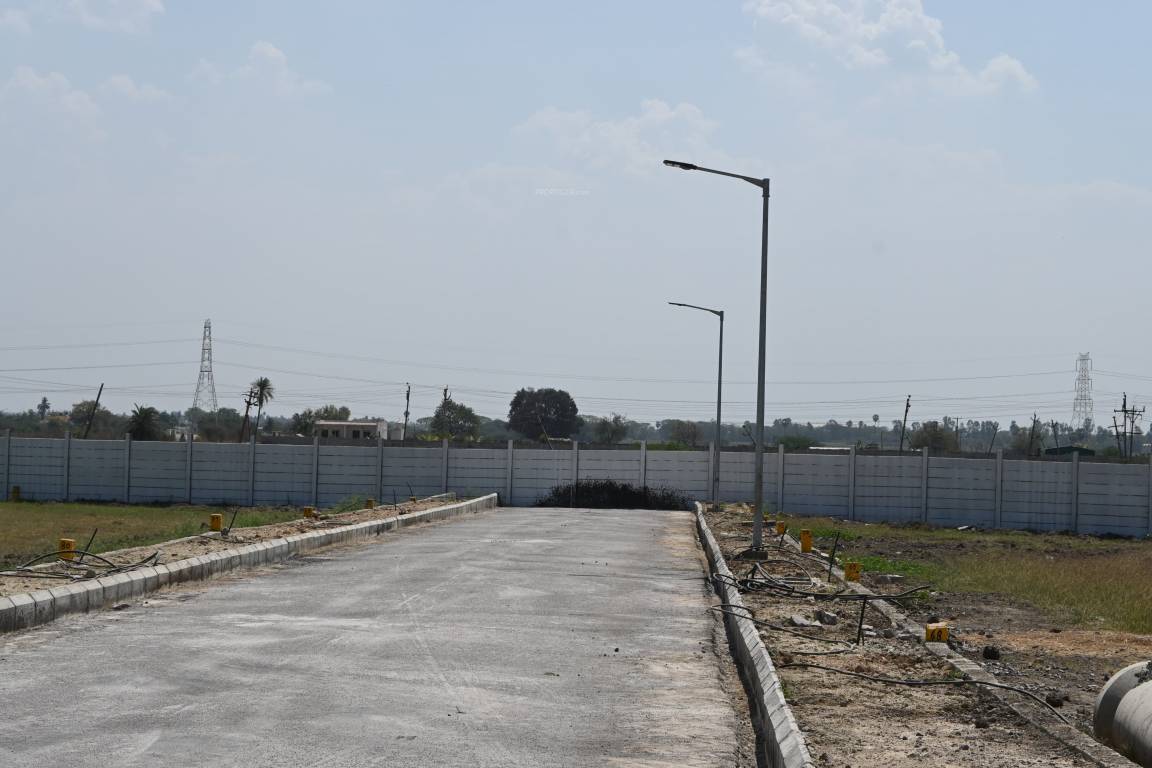  spring field vantage Plot