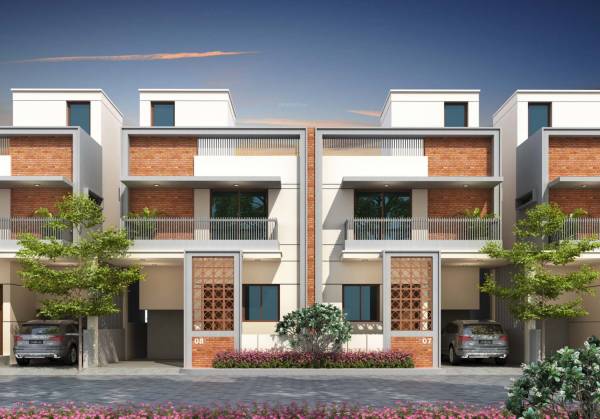 Elevation harmony Elevation