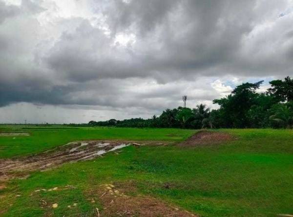  flora-city Elevation