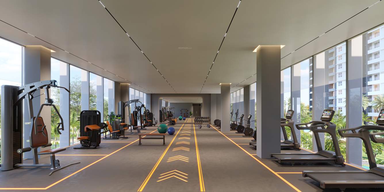  life republic sector r14 14th avenue qrious phase i Gymnasium