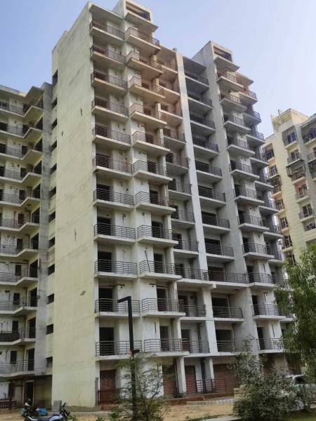  celebrity-medows Elevation