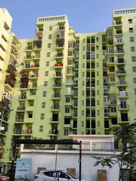  celebrity-medows Elevation