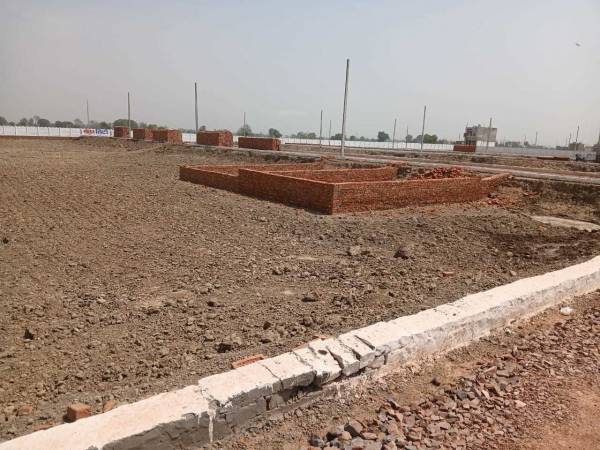 Elevation golden-city Elevation