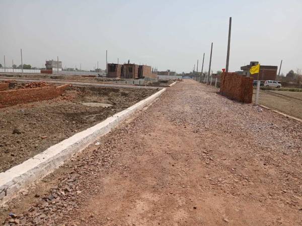 Plot golden-city Plot