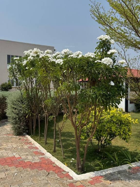  enclave Flower Garden