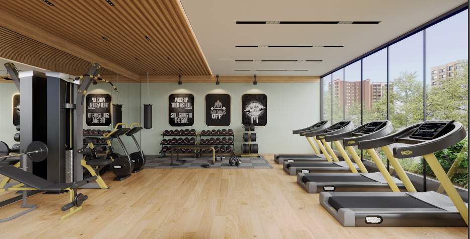 mandot prime Gymnasium