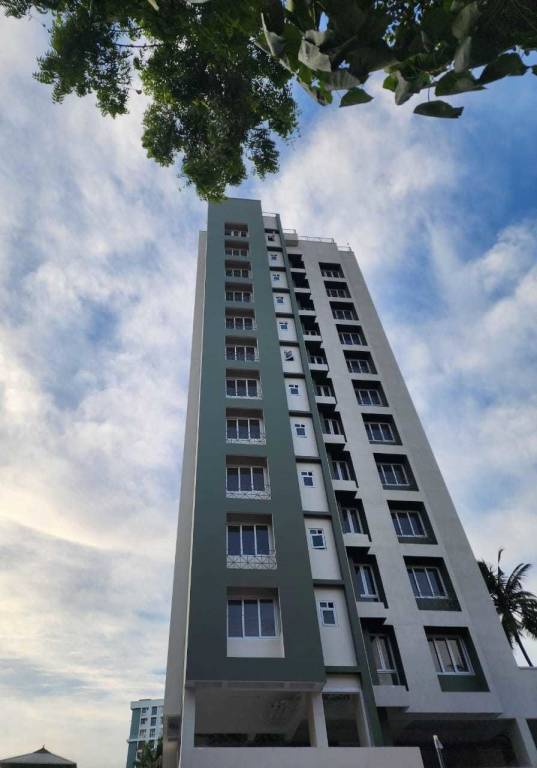  temple tree Elevation