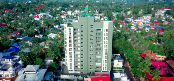 Elevation temple-tree Elevation