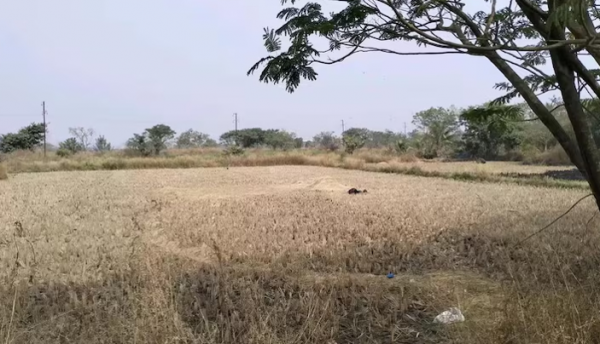  solutions-in-vindhane Plot