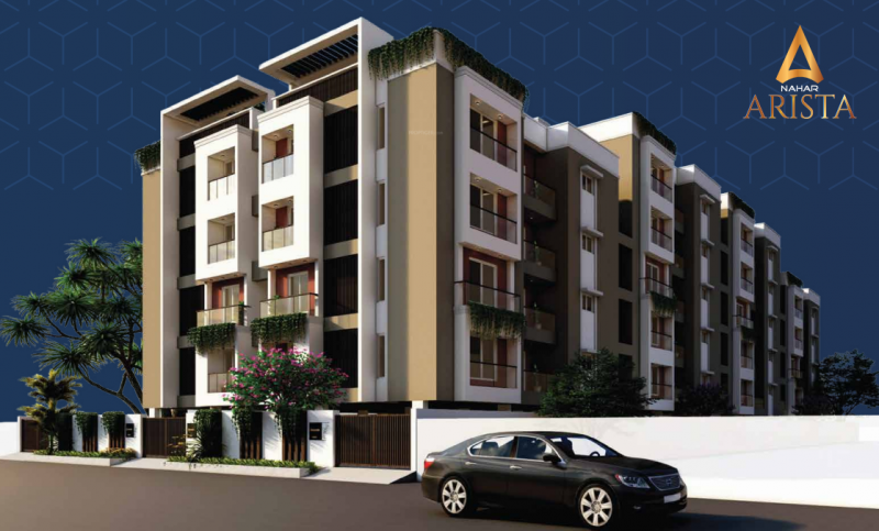  arista Elevation