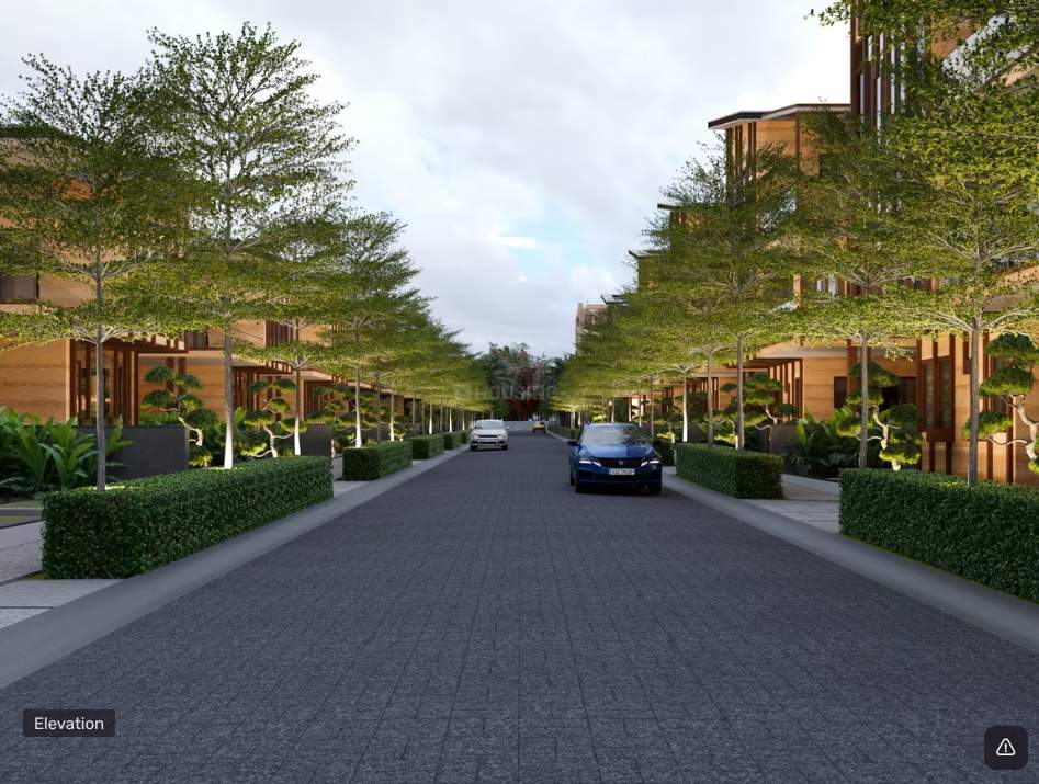  fugen royal infinia Others