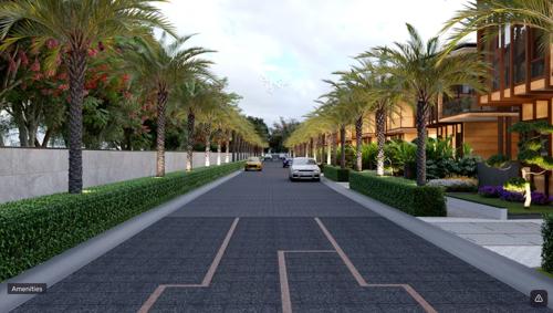  fugen-royal-infinia Others