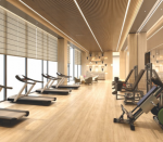 Gymnasium  nesta Gymnasium