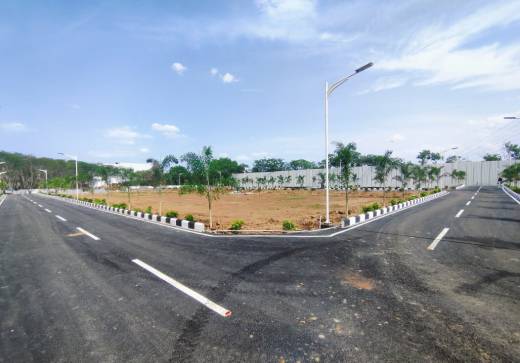 northern-crown Elevation Elevation