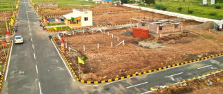 Project Image Project Image