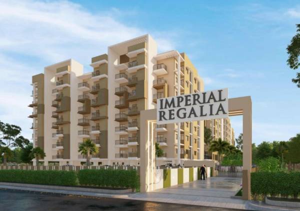 Elevation regalia Elevation