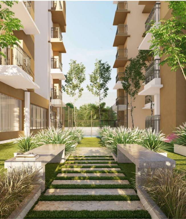 regalia Senior Citizen Sitout