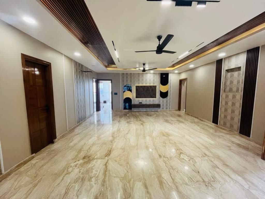 signature floors 3 Living Area