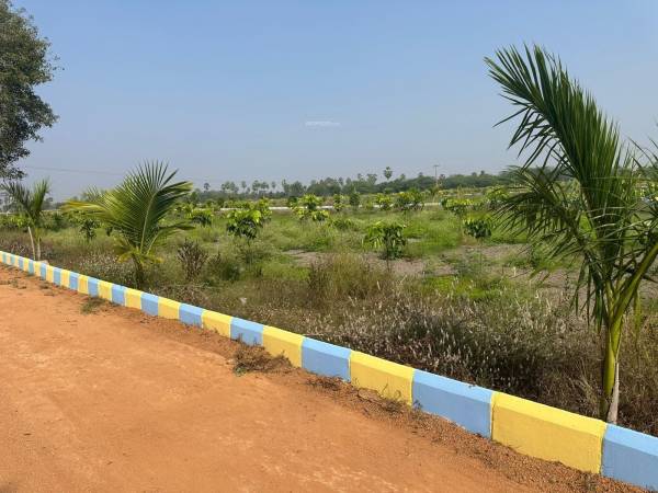 Elevation rrr-farms Elevation