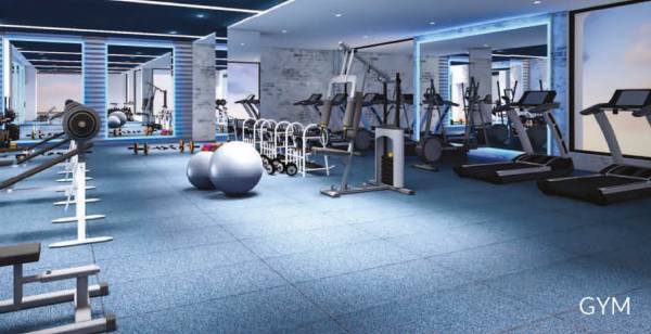  param-heights Gymnasium