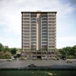 Elevation orchid Elevation