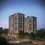 Elevation orchid Elevation