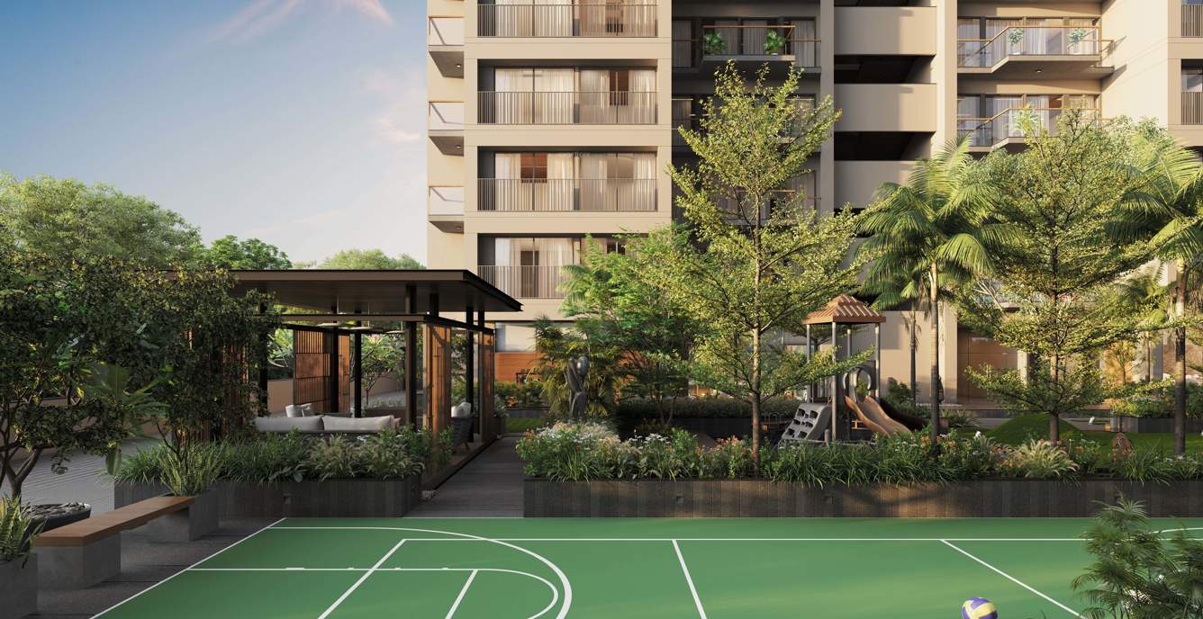  orchid Basketball Court