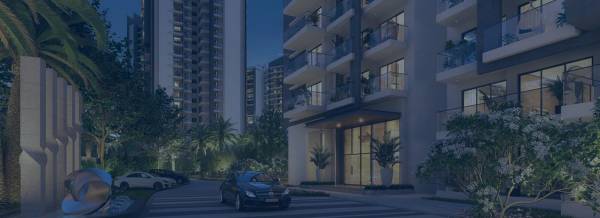 Paved Compound amayra-luxury-one Paved Compound