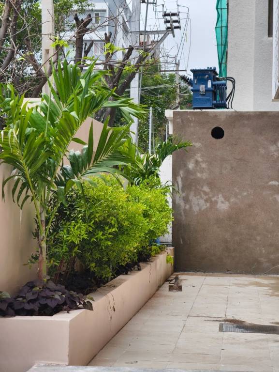  vindhya Landscape Garden and Tree Planting