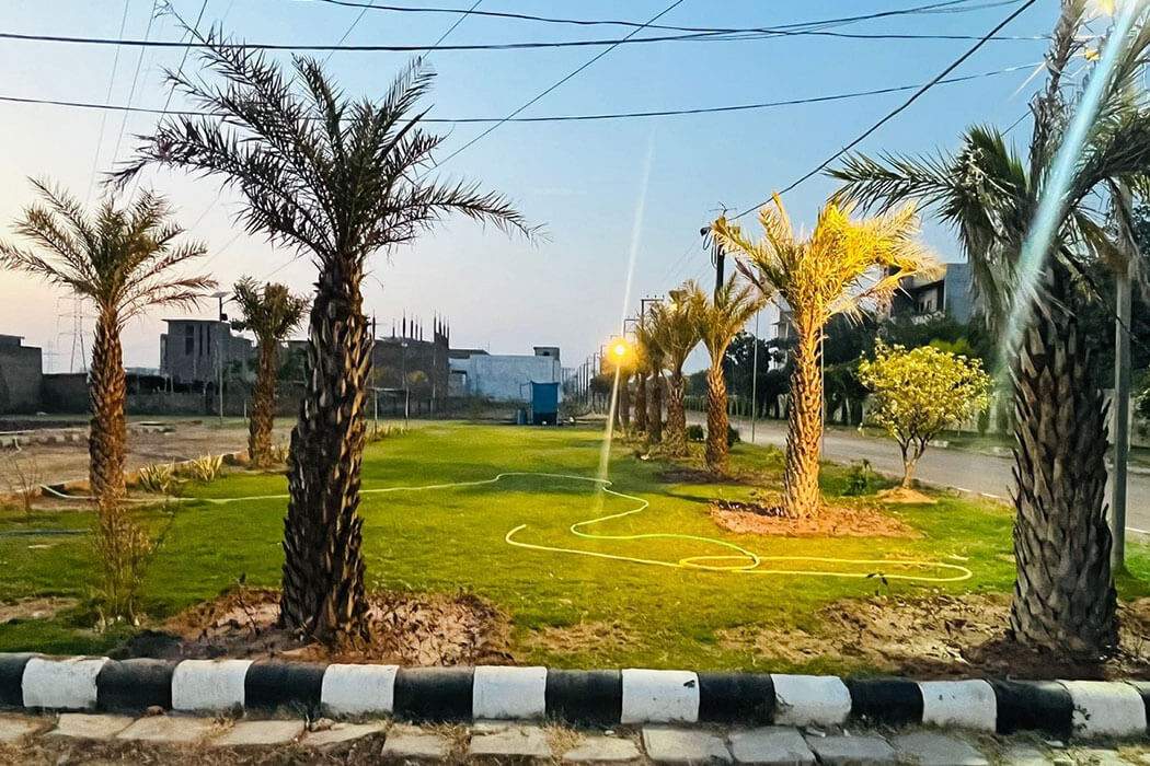  the promont Landscape Garden and Tree Planting