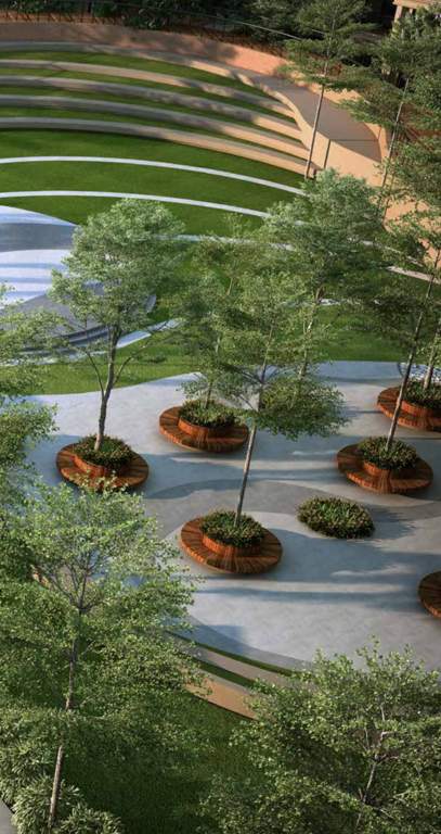 casamia Landscape Garden and Tree Planting