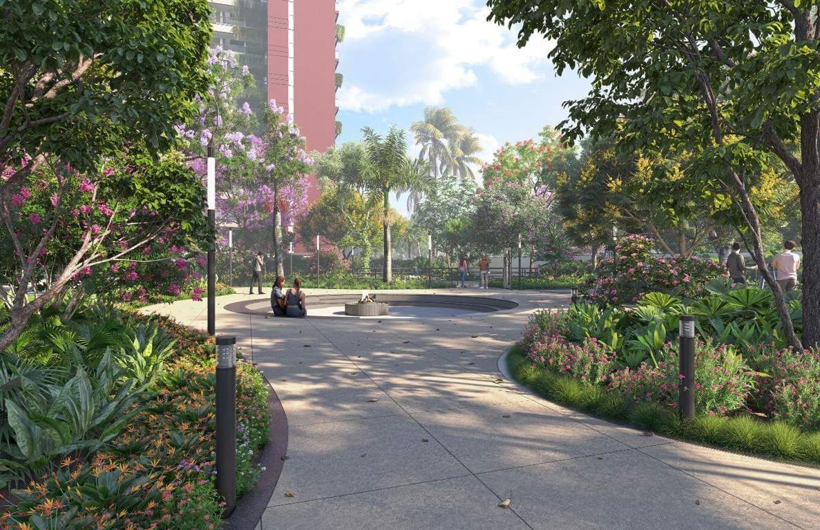  sunny groves Landscape Garden and Tree Planting