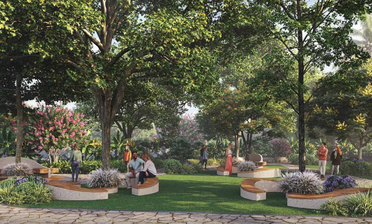 super city 5 Senior Citizen Sitout