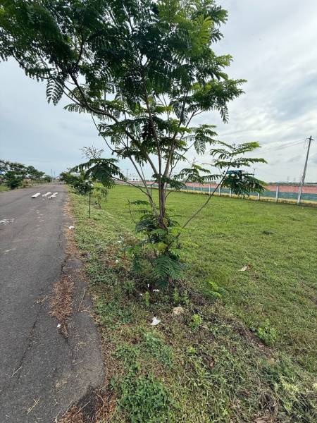  silo-vika-sri-sai-city Plot