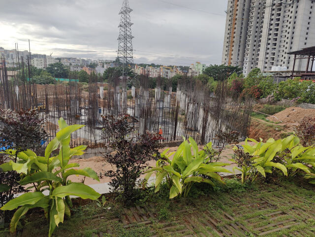 Jhanavi Trishul Alaska