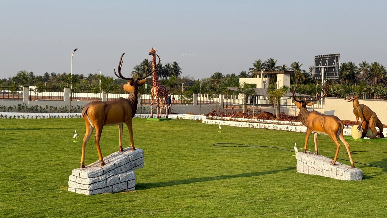 royal gateway Others