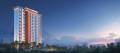 DTC Projects Skyler