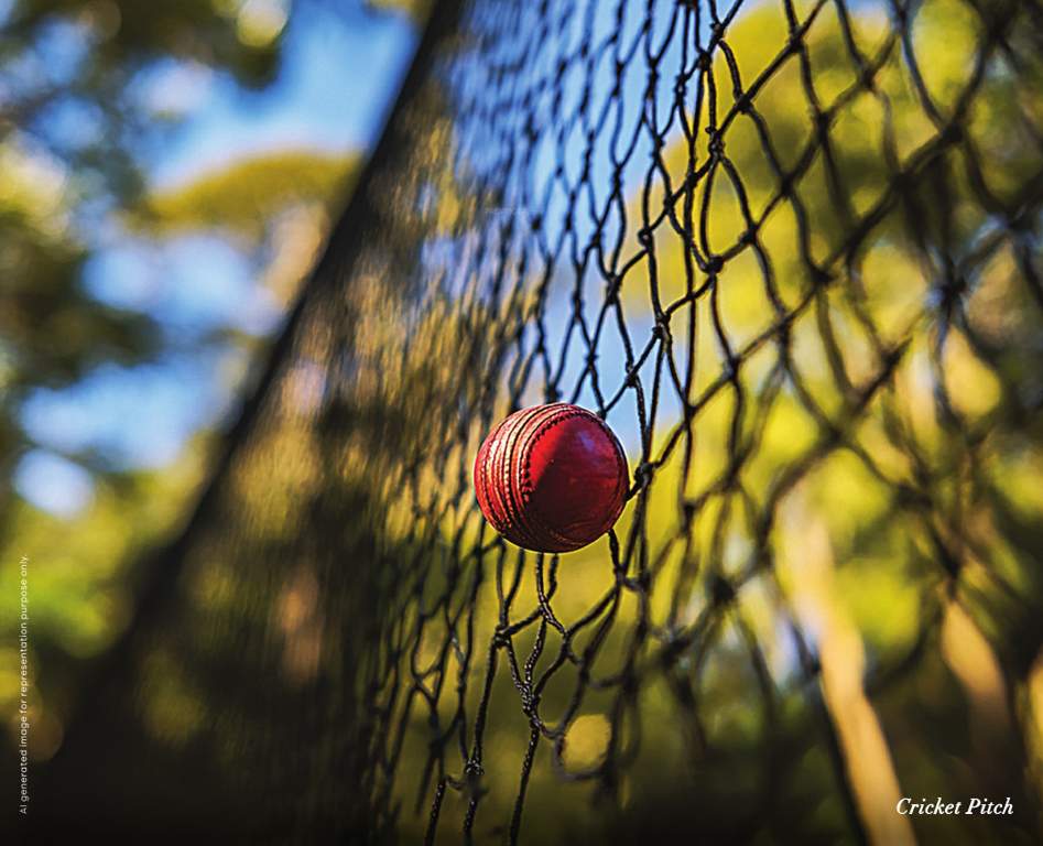 tvs emerald verde vista Cricket arena
