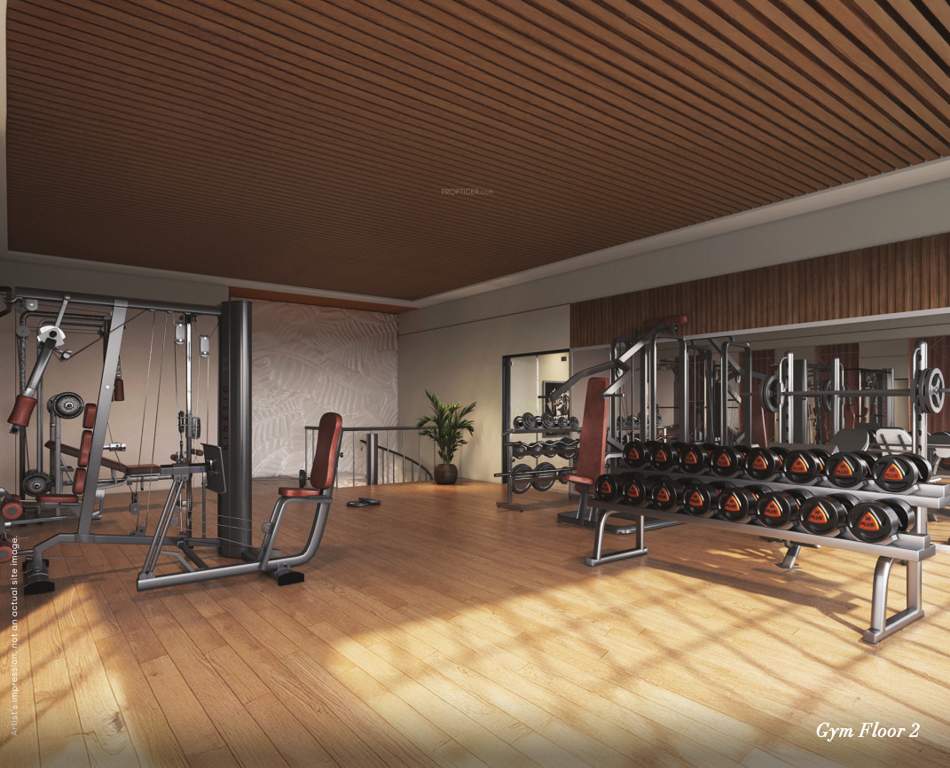 tvs emerald verde vista Gymnasium