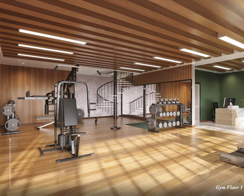 tvs emerald verde vista Gymnasium