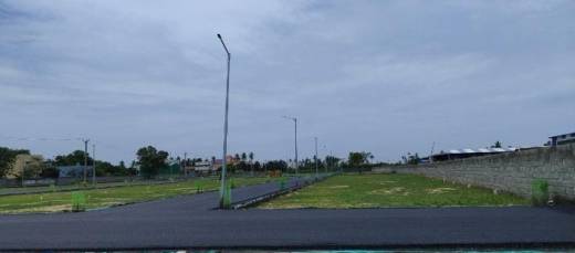 sn-avenue Elevation Elevation