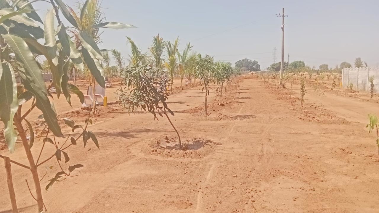  keertika farms Plot