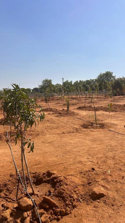  keertika farms Plot