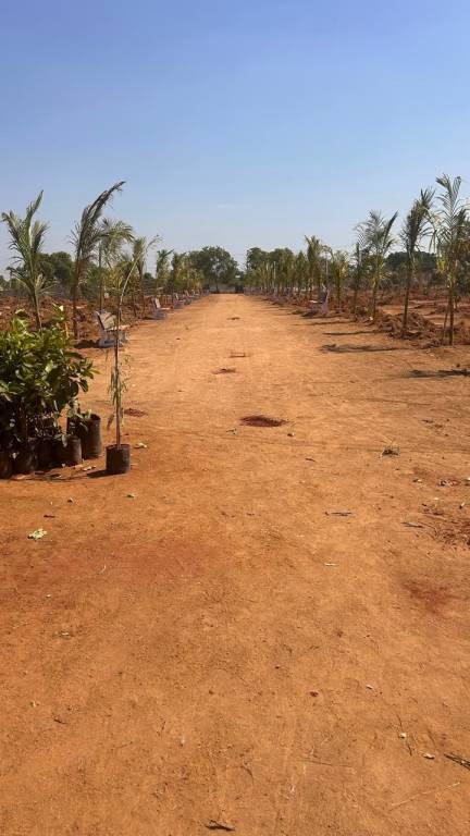  keertika farms Plot