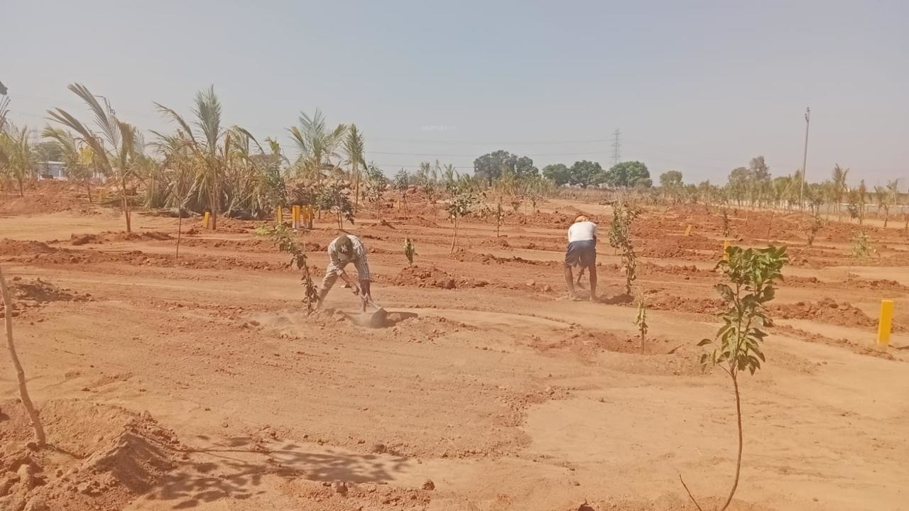  keertika farms Plot