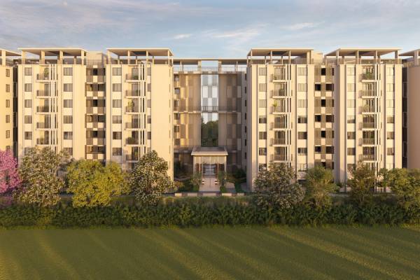  serenity-springs Elevation