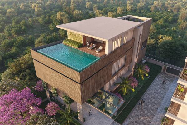  serenity-springs Swimming Pool