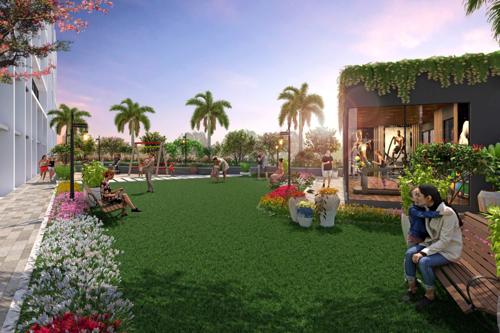  air Landscape Garden and Tree Planting